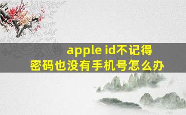 apple id不记得密码也没有手机号怎么办